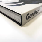 jamie-hewlett-gorillaz-rise-of-the-ogre-book-waterstones-signed-11